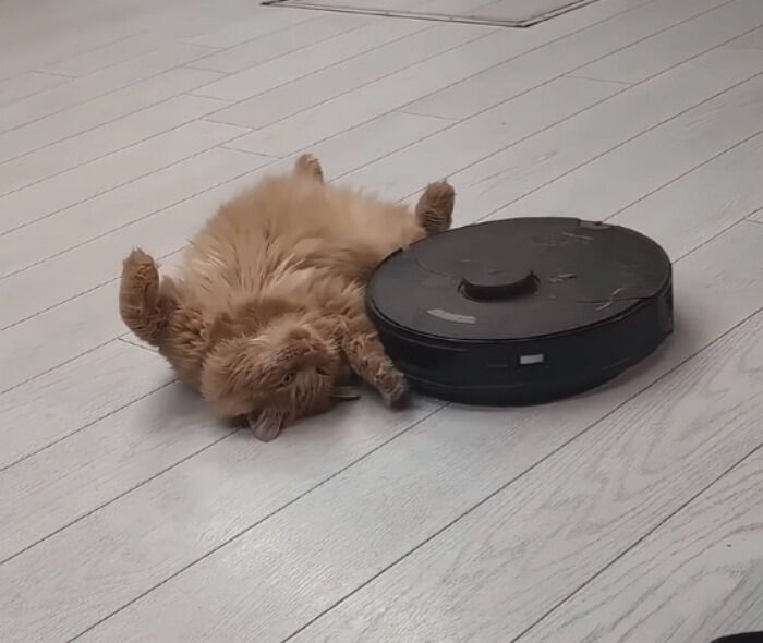 애니멀플래닛
