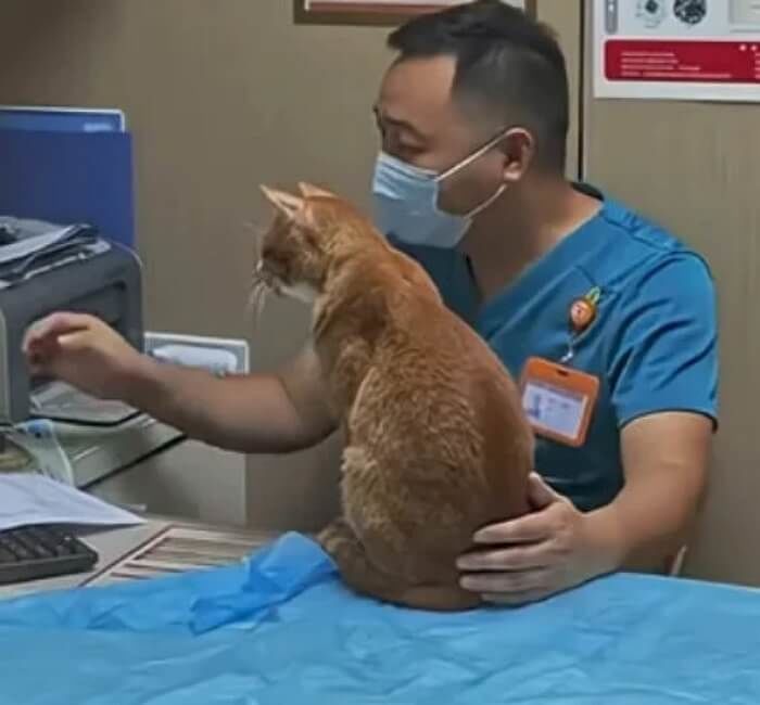 애니멀플래닛