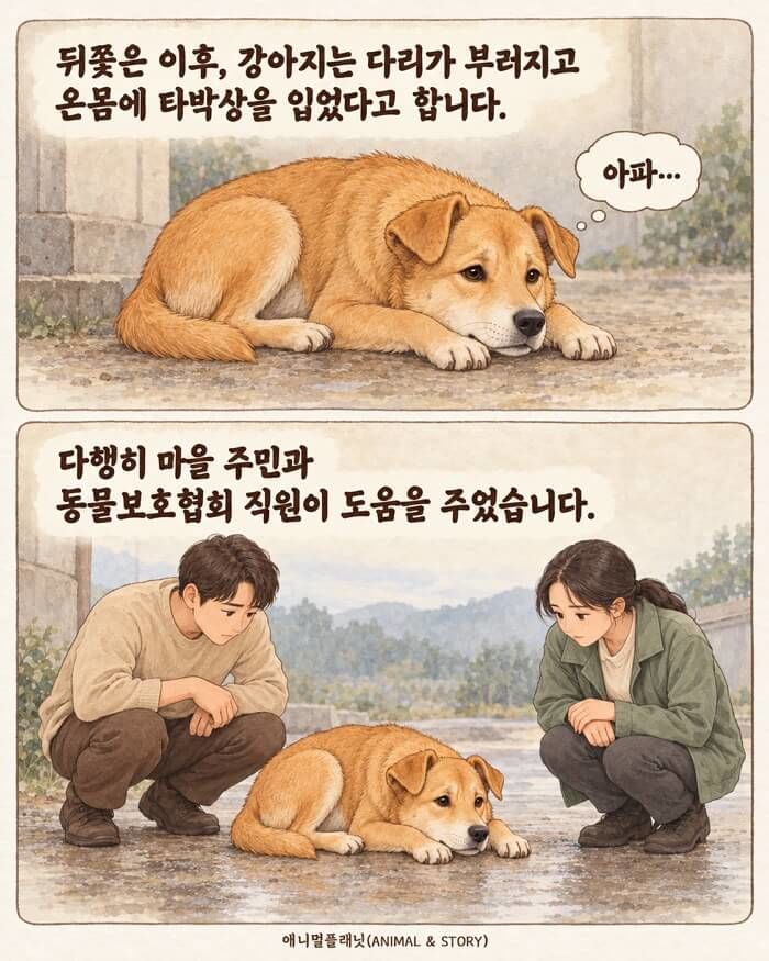 애니멀플래닛