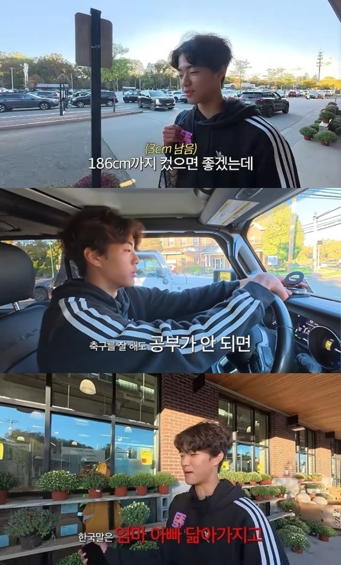 애니멀플래닛