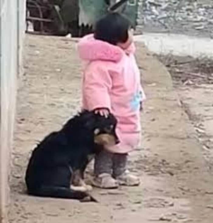 애니멀플래닛