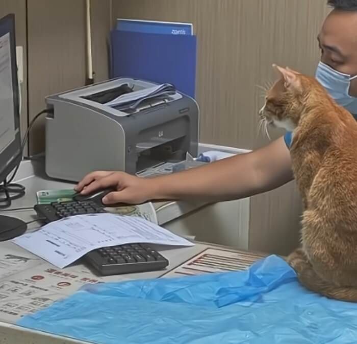 애니멀플래닛