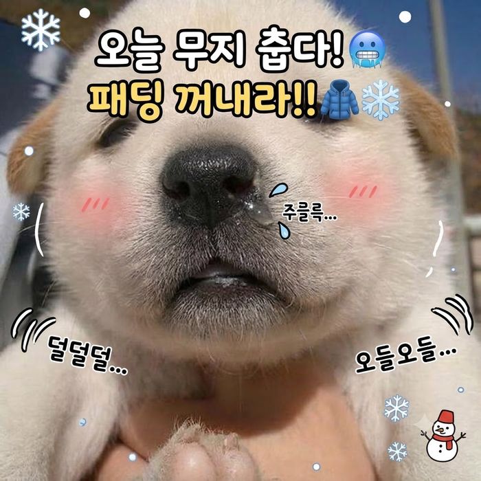 애니멀플래닛