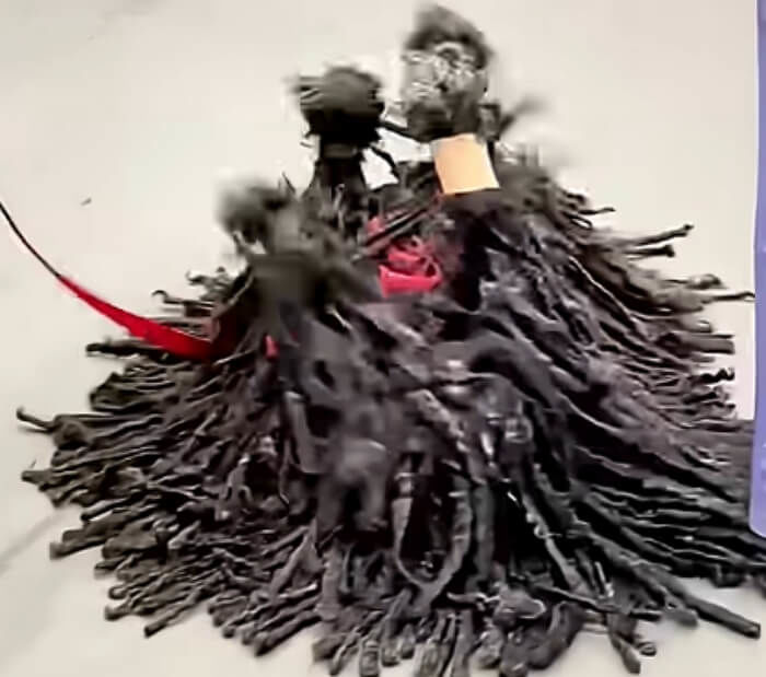애니멀플래닛