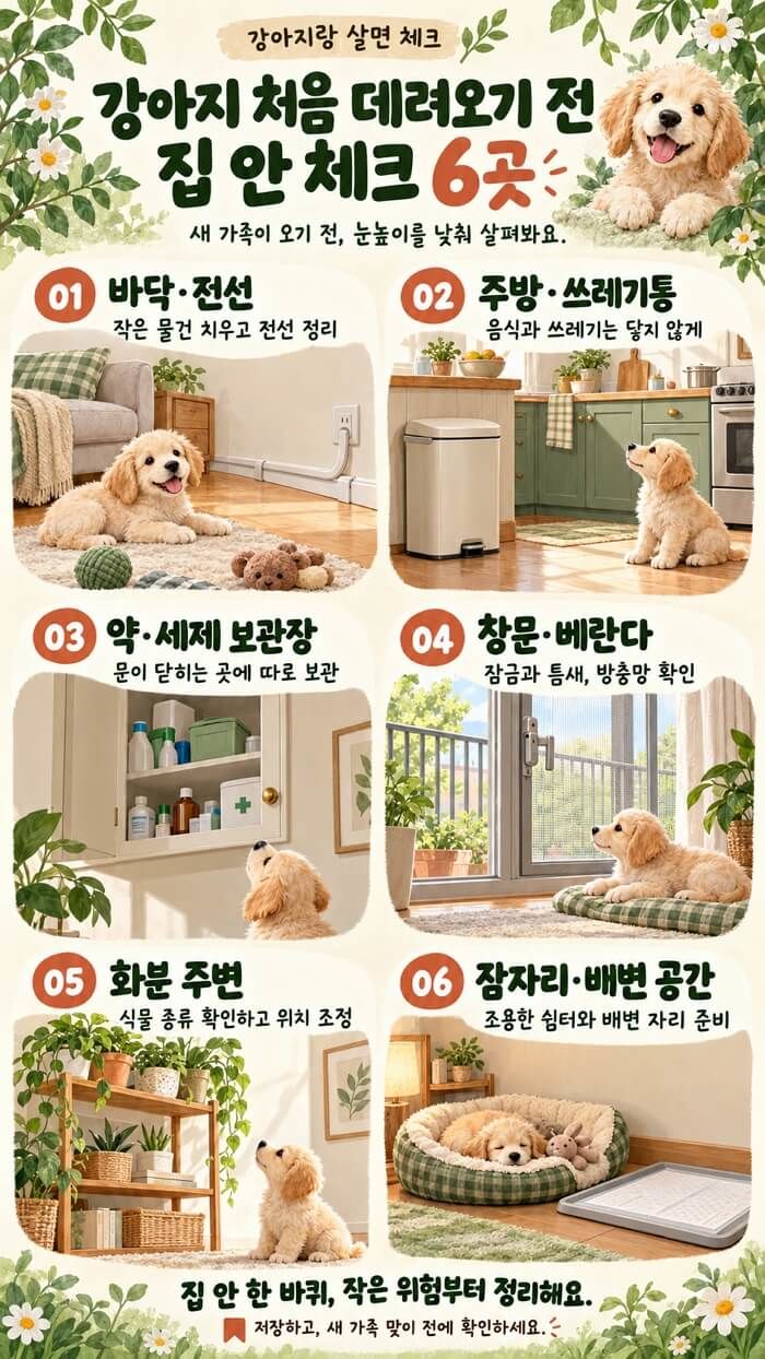 애니멀플래닛