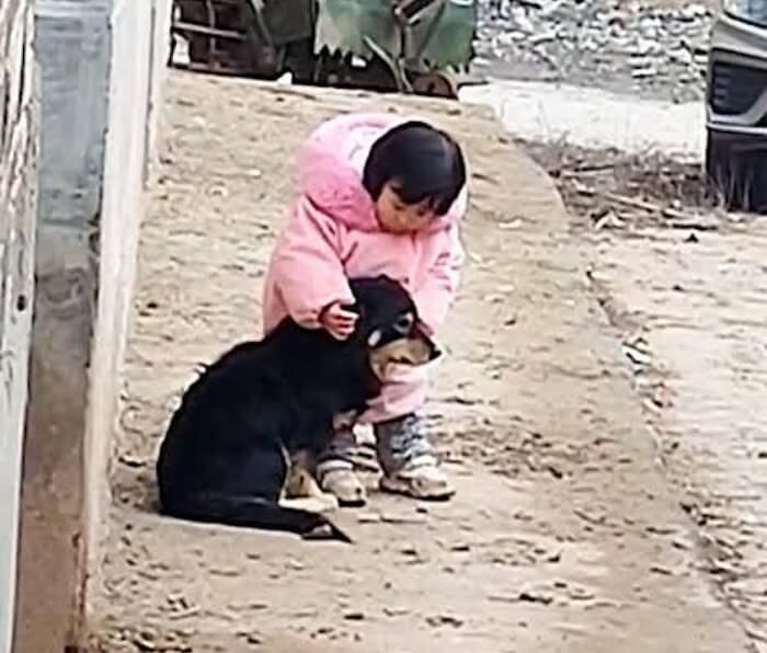 애니멀플래닛