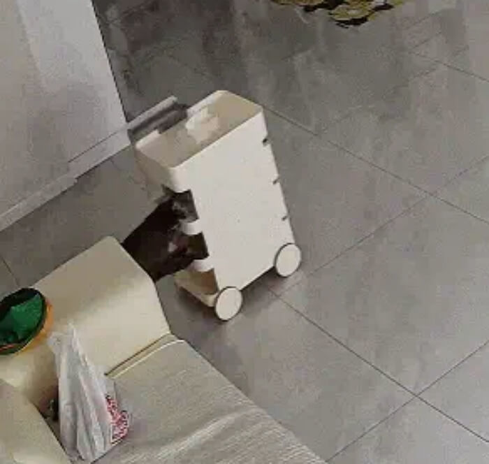 애니멀플래닛