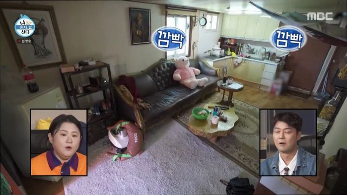 애니멀플래닛