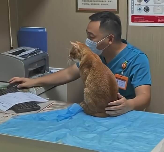 애니멀플래닛