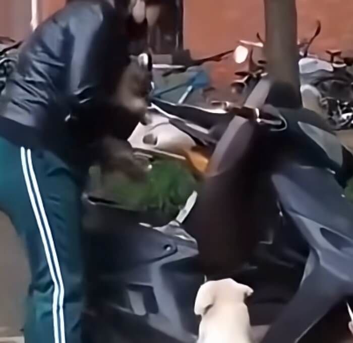 애니멀플래닛