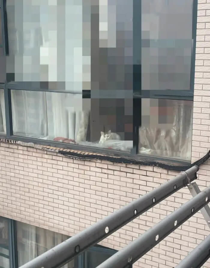 애니멀플래닛