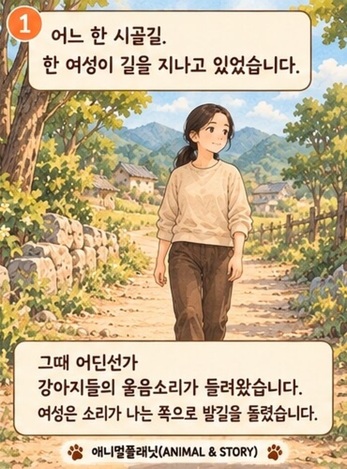 애니멀플래닛