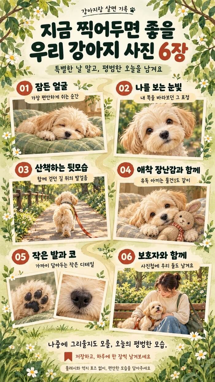 애니멀플래닛