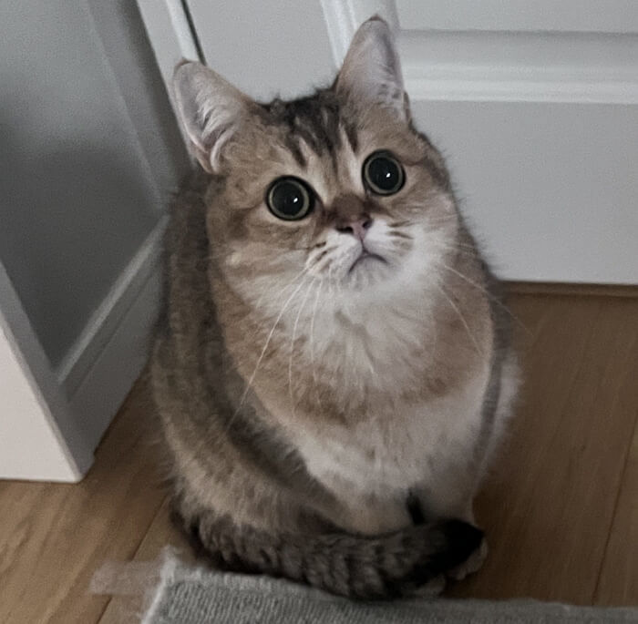 애니멀플래닛