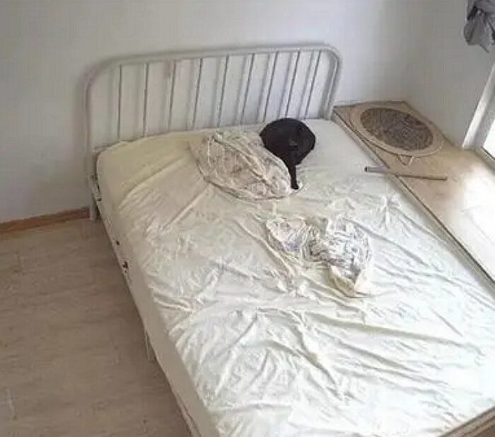 애니멀플래닛