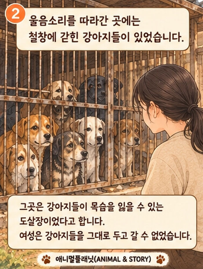 애니멀플래닛