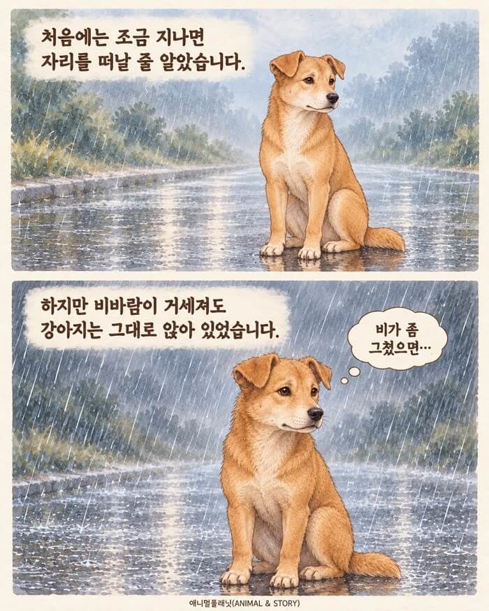 애니멀플래닛