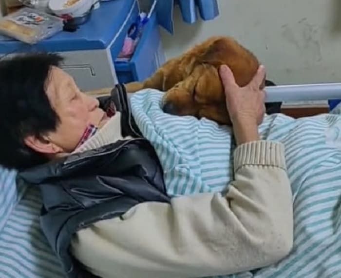 애니멀플래닛