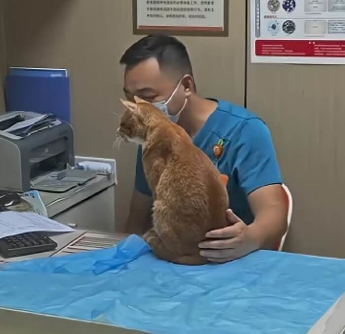 애니멀플래닛