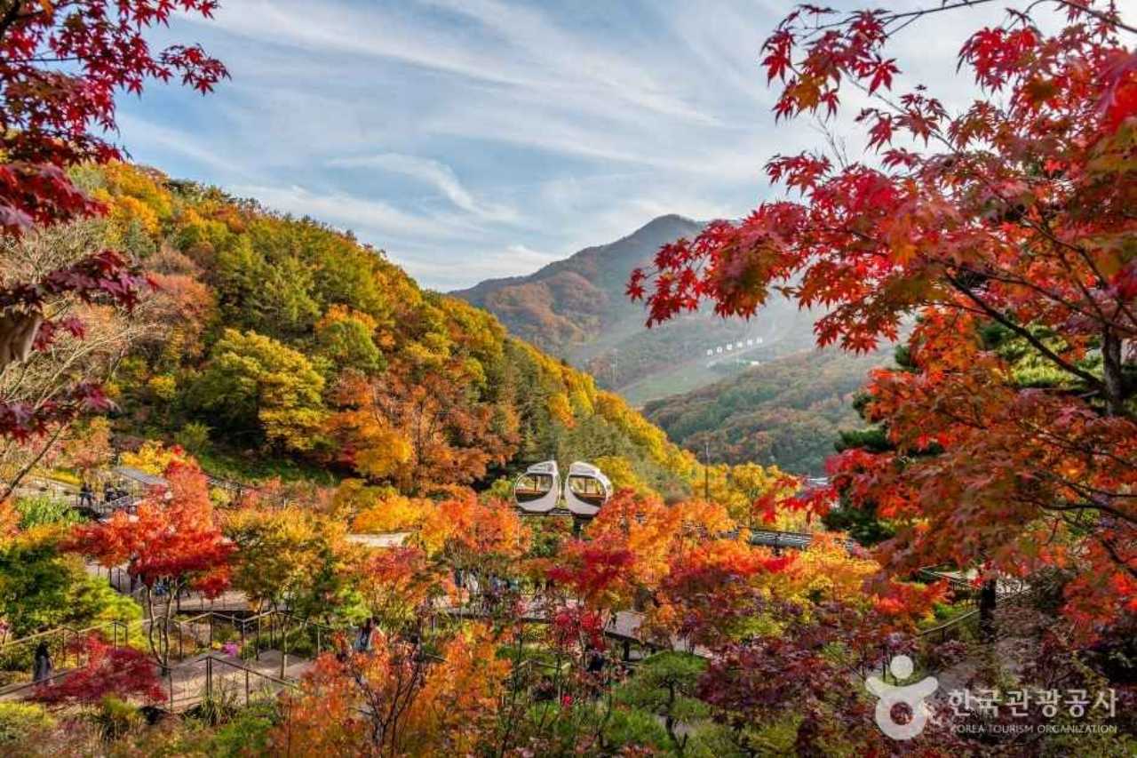 경기광주 화담숲 단풍 / 사진=한국관광공사