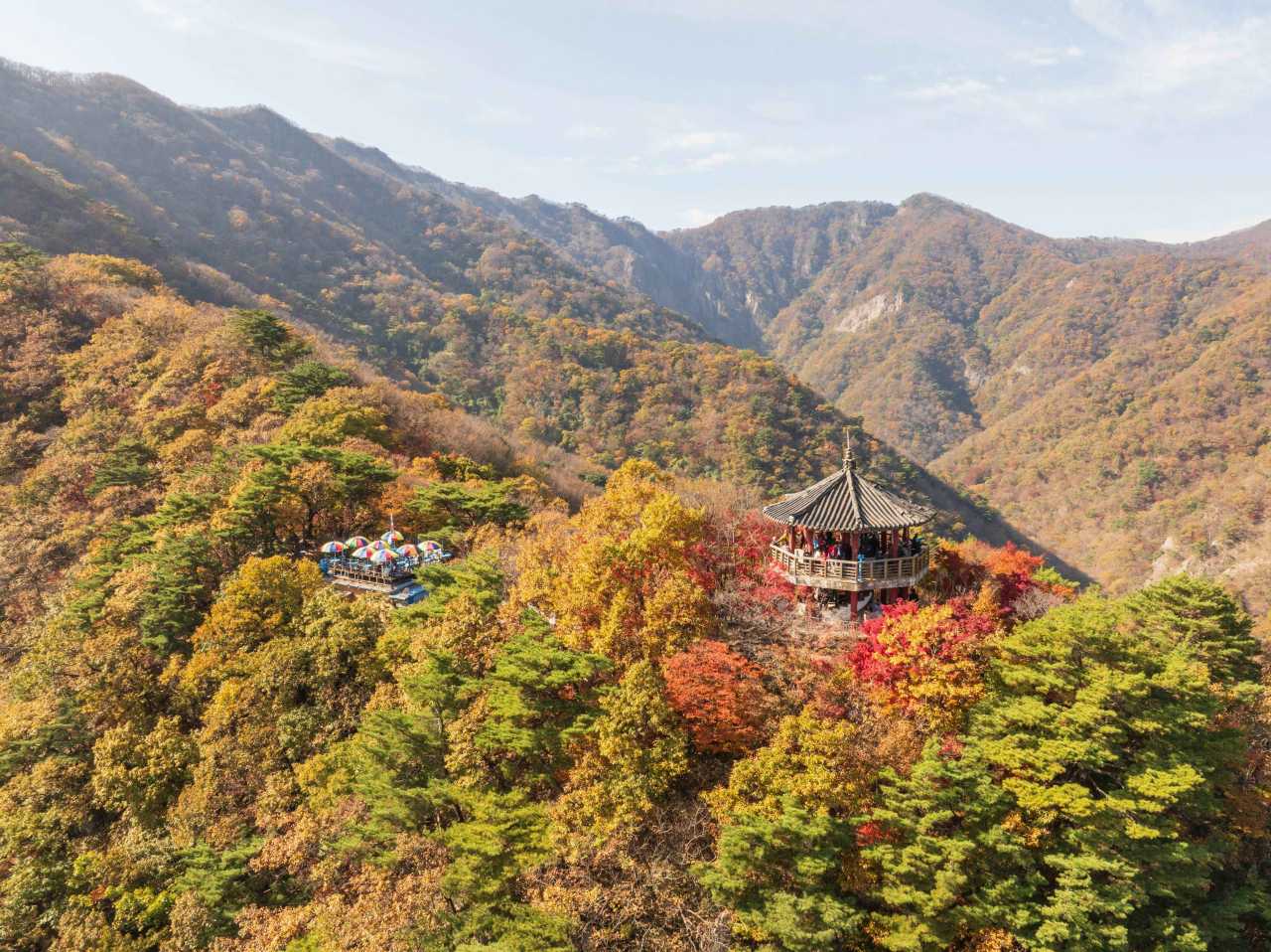 정읍 내장산 단풍 / 사진=한국관광공사 포토코리아@배근한