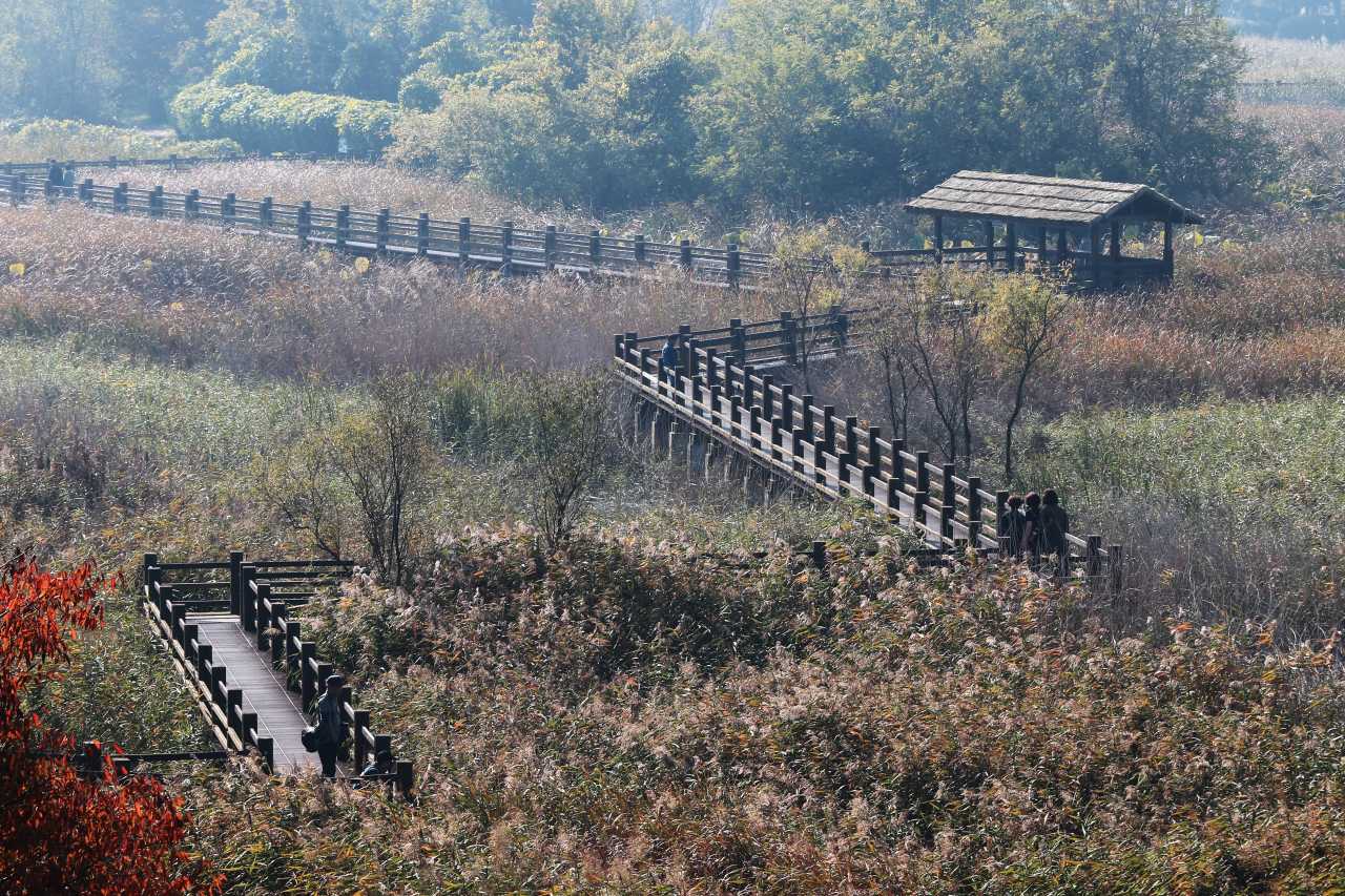 안산갈대습지공원 / 사진=경기관광플랫폼