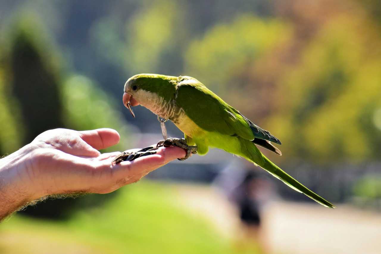 바르셀로나 마요르카 스페인 신혼여행 동선 / 사진=unsplash