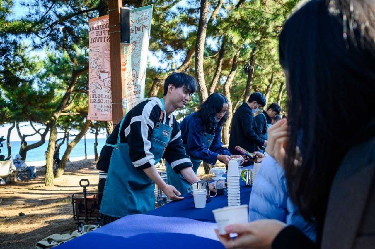 다양한 체험과 함께 강릉 커피축제 즐기기 / 사진=한국관광공사