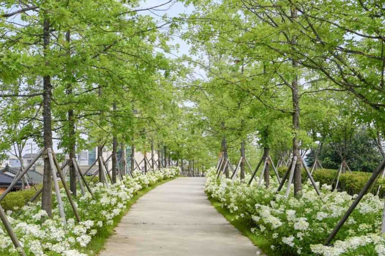 원주 치악산 바람길숲 / 사진=한국관광공사