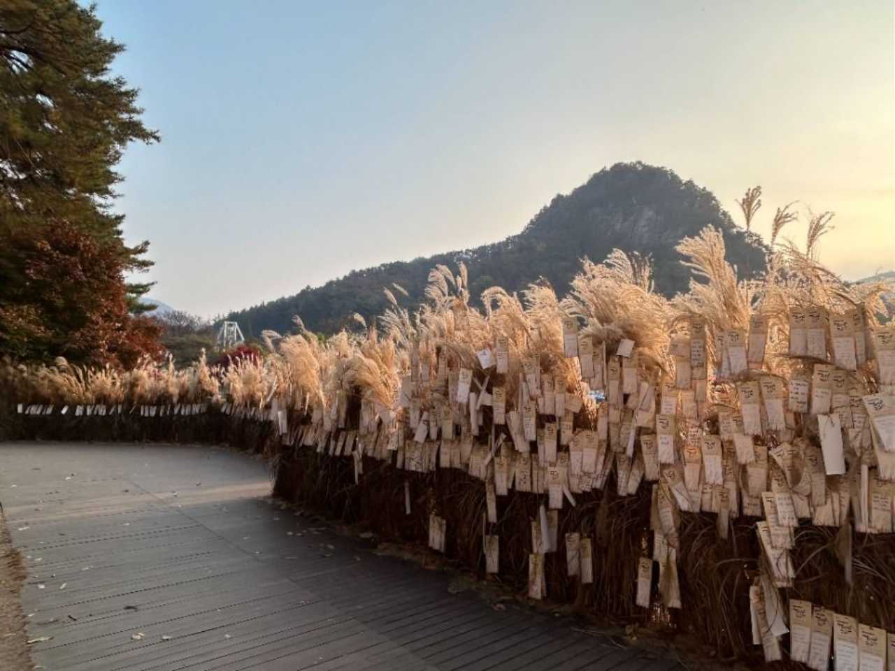 명성산 억새밭 / 사진=한국관광공사