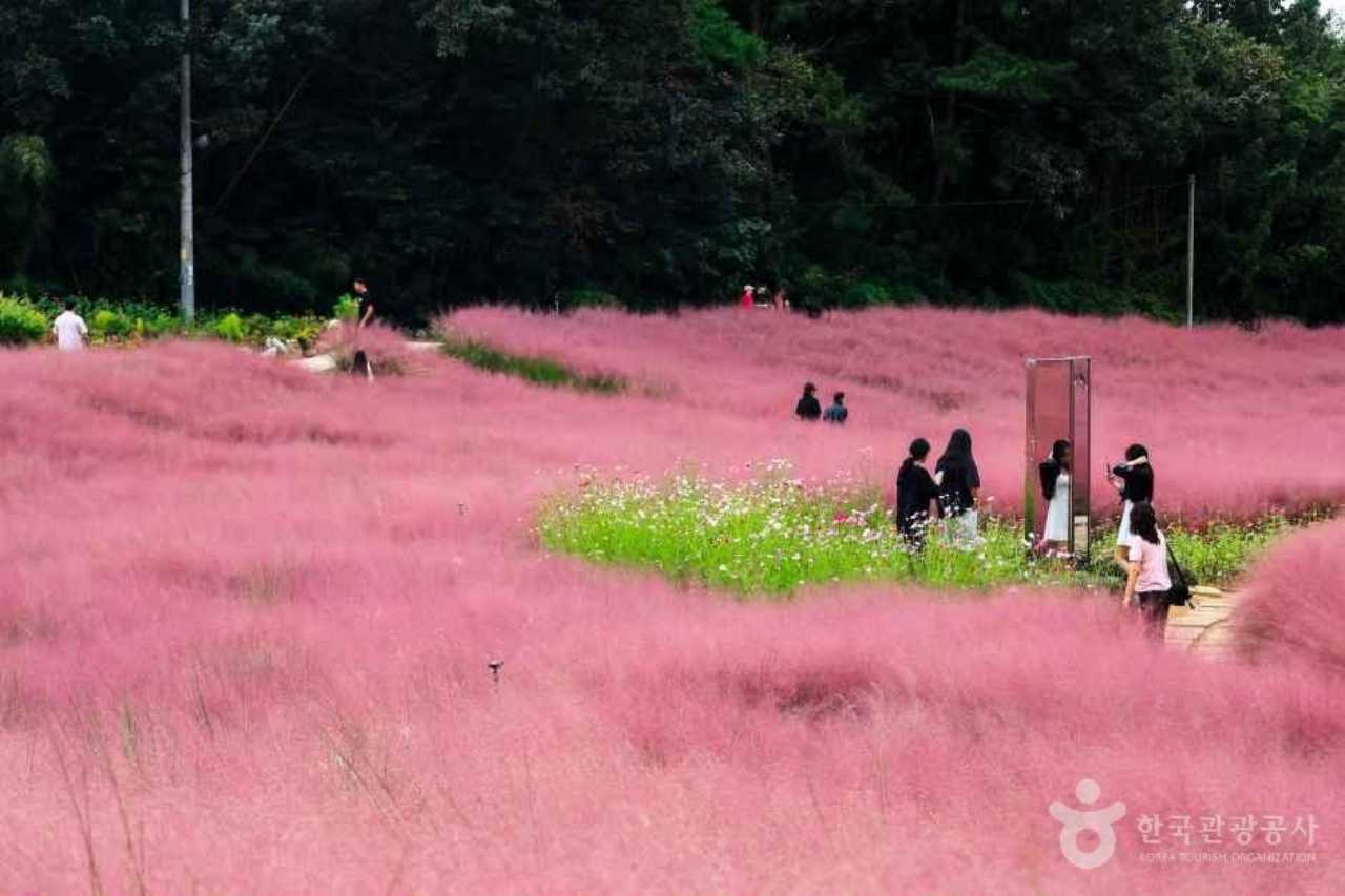 사진=한국관광공사 포토코리아@김찬영