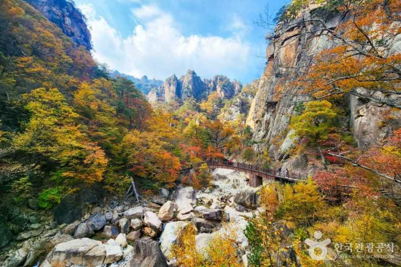 금수강산 설악산 단풍 / 사진=한국관광공사