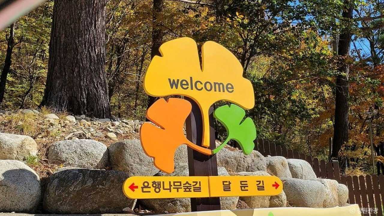 아내를 위한 남편이 정성스레 가꾼 홍천 가을 여행지 / 사진=한국관광공사