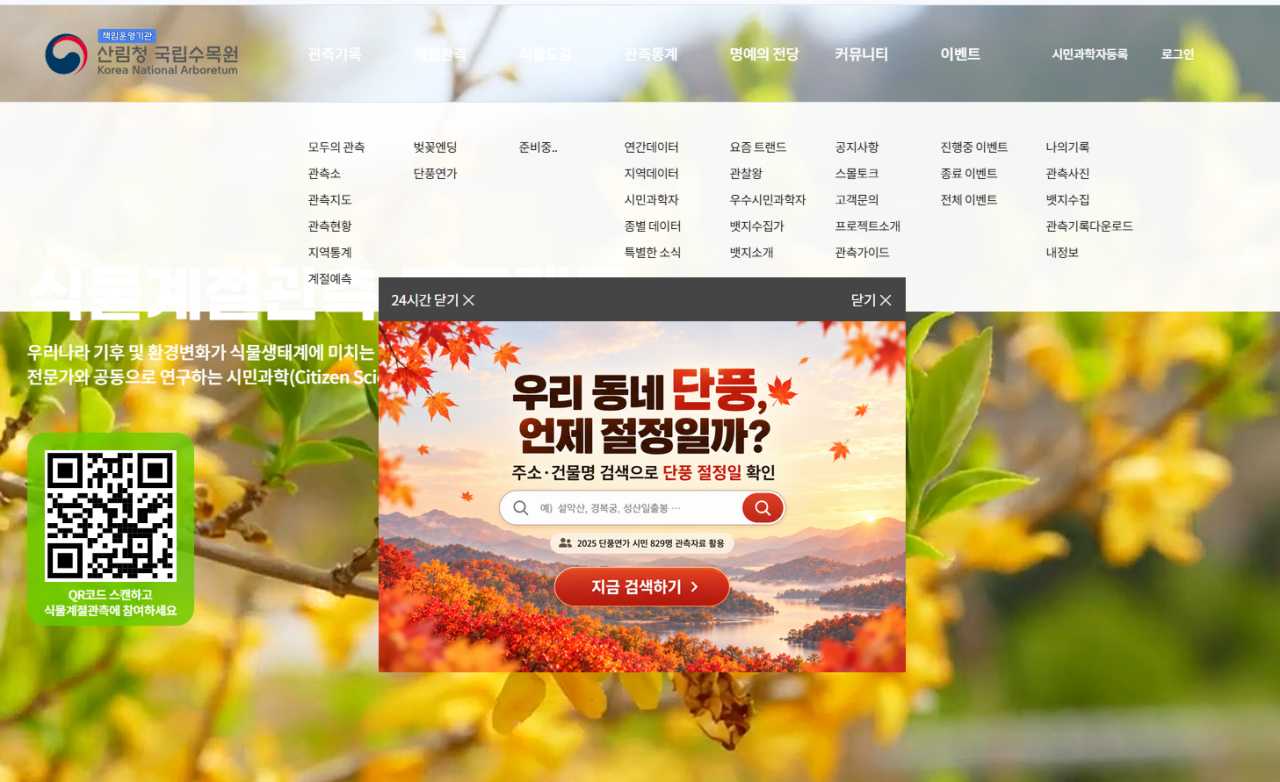 산림청 들어간 후 바로 확인하실 수 있습니다 / 사진=산림청