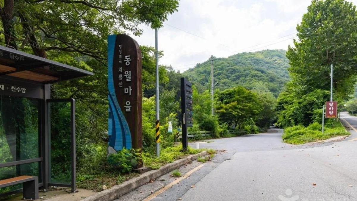 동월계곡