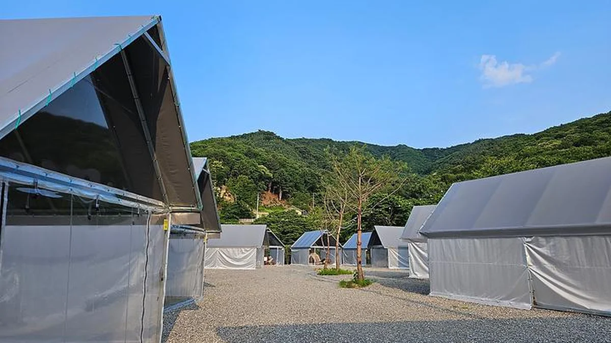 한알캠핑장