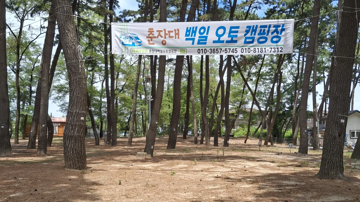 춘장대 백일 캠핑장