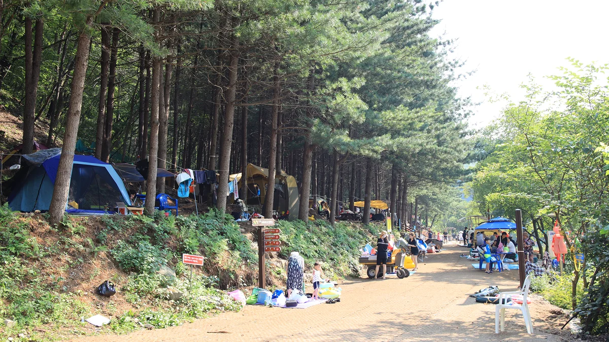 선바위 자연캠핑장