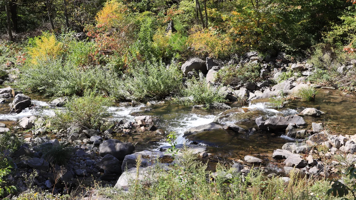 국립자연휴양림관리소 두타산자연휴양림