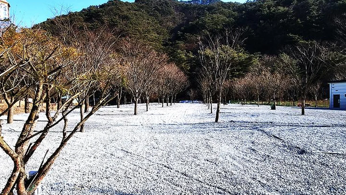 솔내음캠핑장