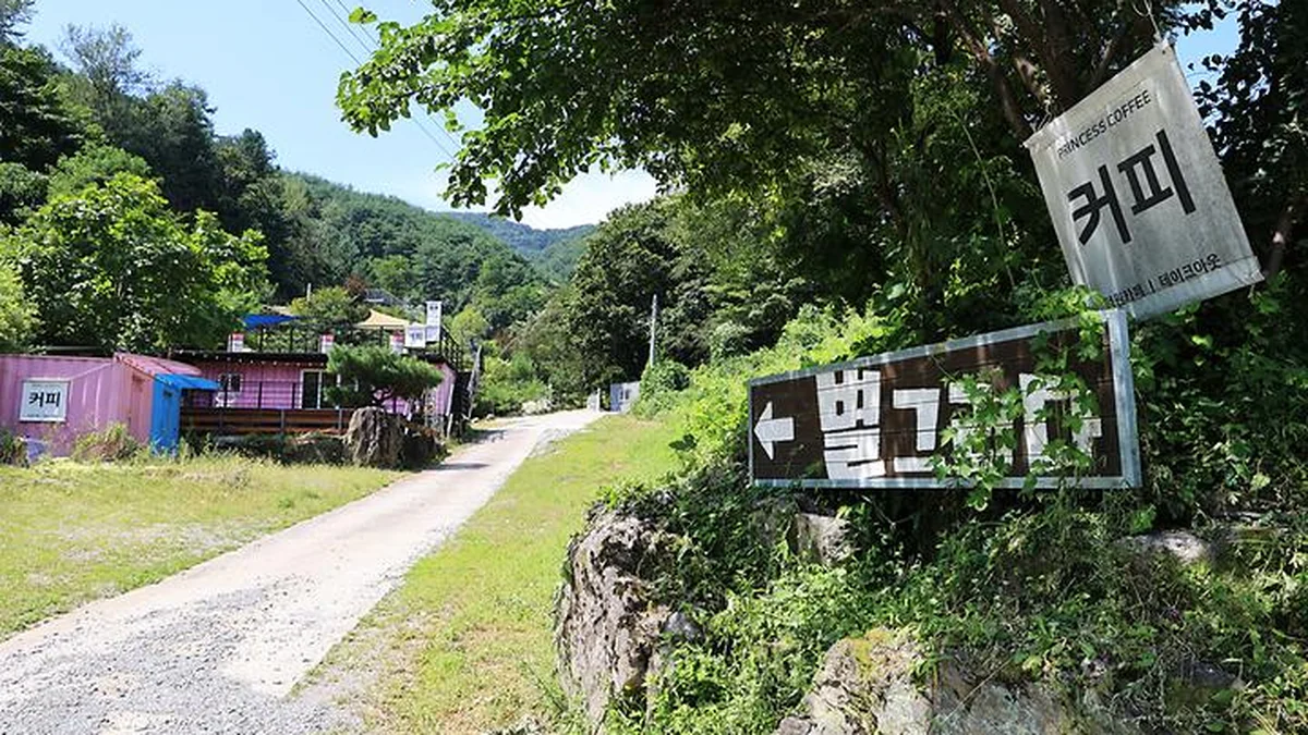 별그리다 캠핑장