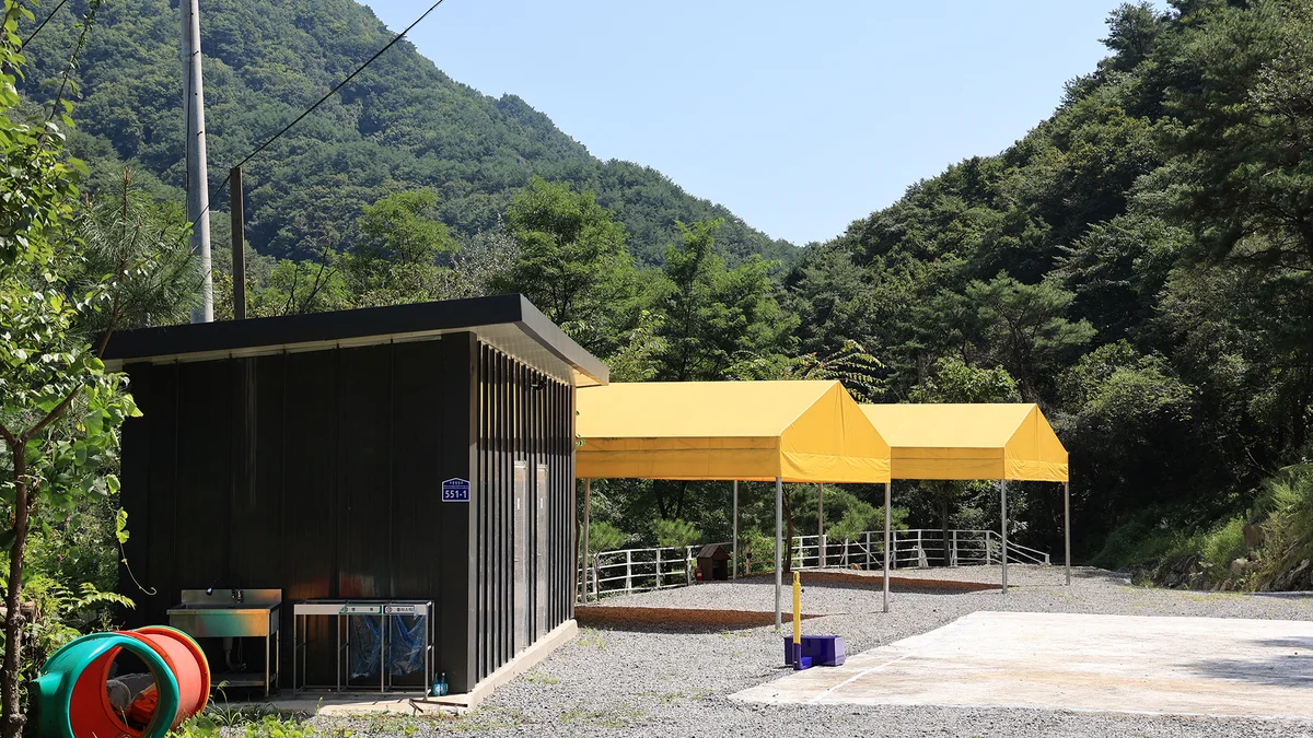 별그리다 캠핑장