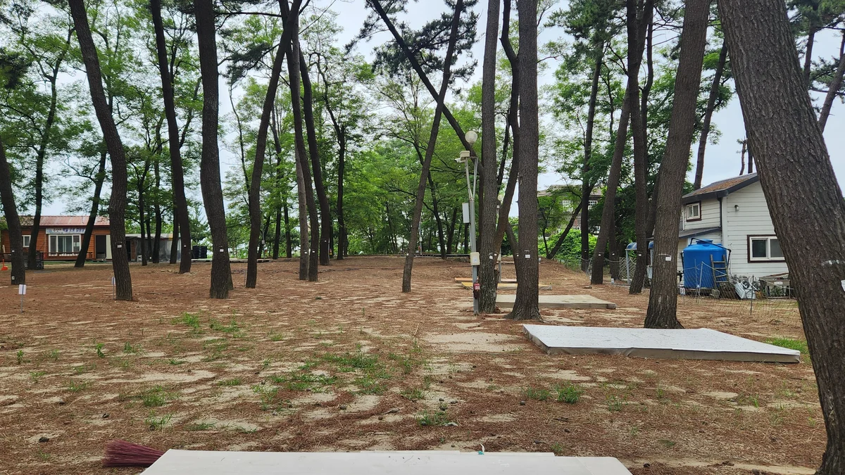춘장대 백일 캠핑장