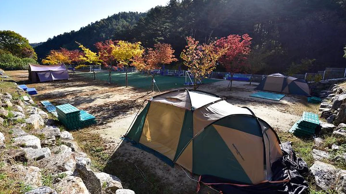 캠플레이 캠핑장