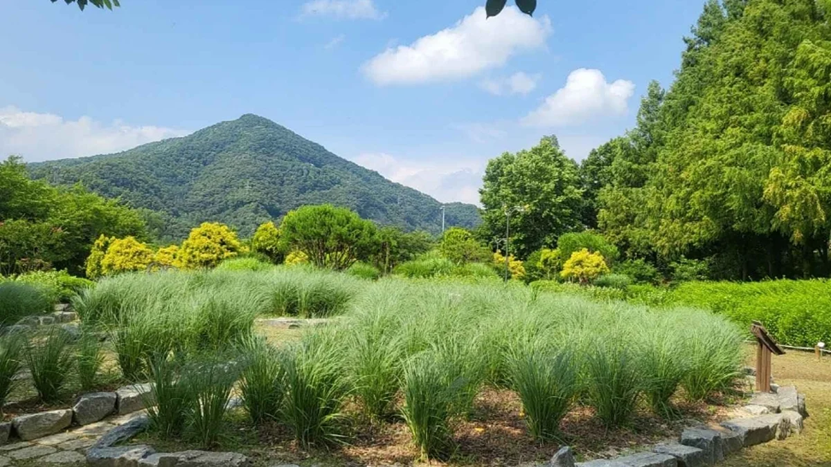 금강로하스 대청공원 (암석식물원)