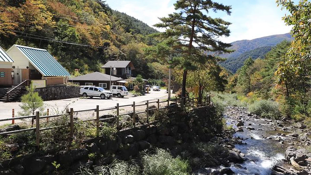 국립자연휴양림관리소 두타산자연휴양림