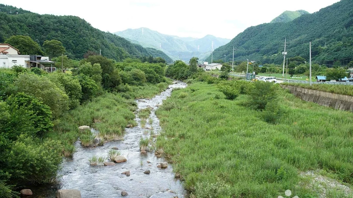 정선 가리왕산마을
