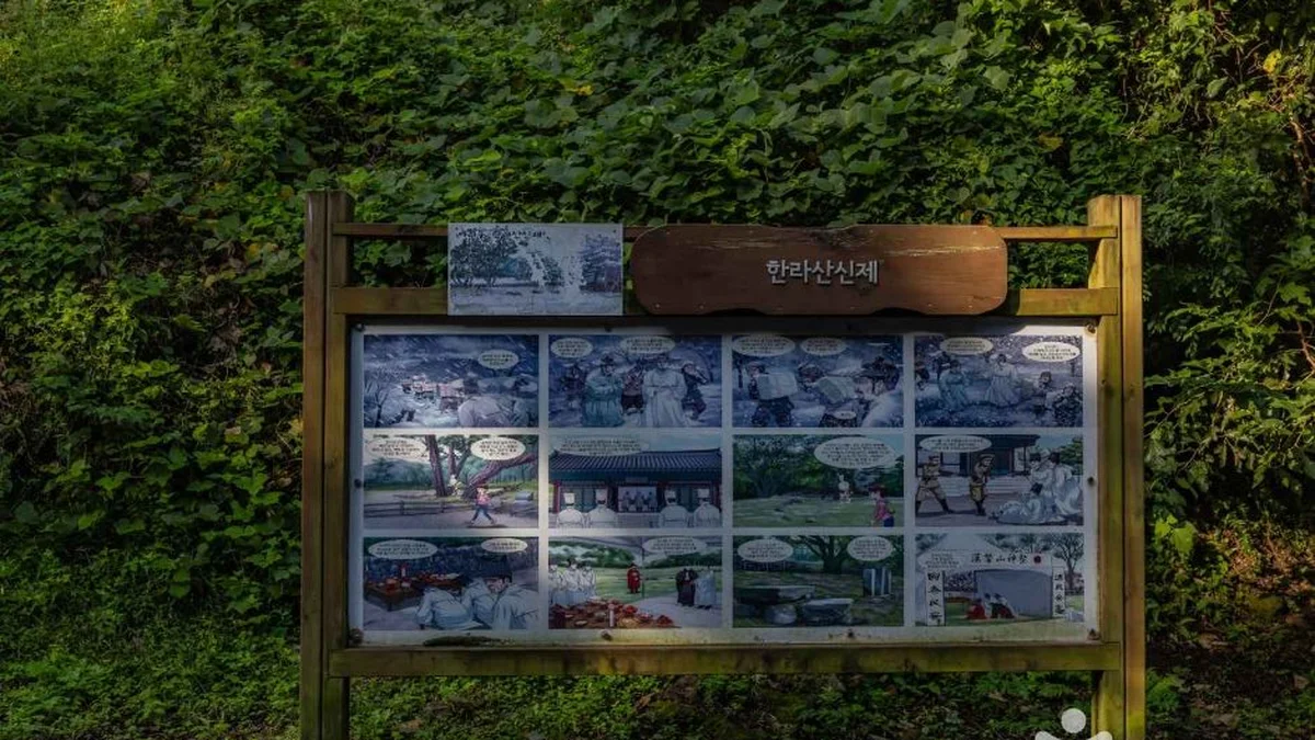 산천단곰솔
