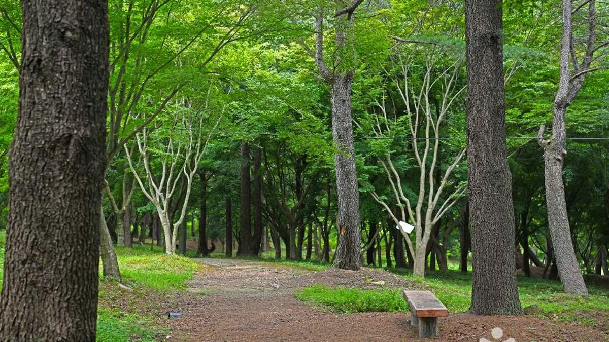 내장산수목원