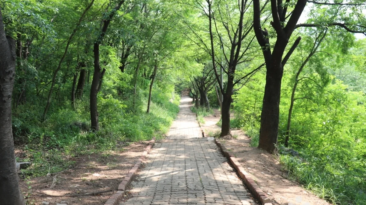 침산공원